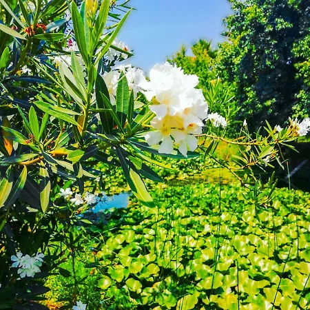 çalışta Plaja Yakın özel Havuzlu Lüx Villa *