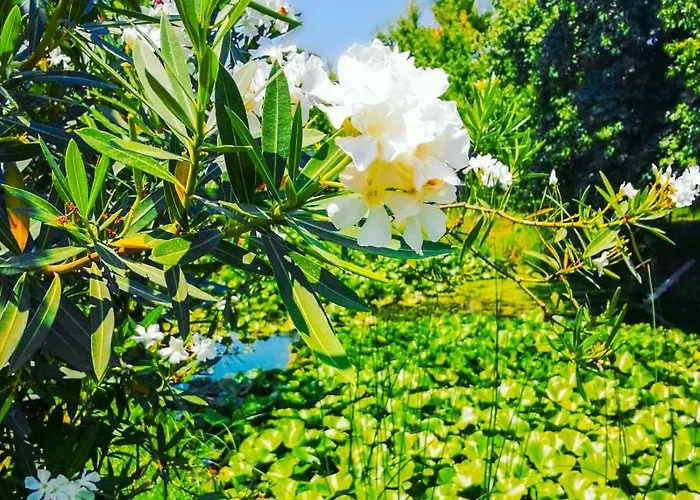 çalışta Plaja Yakın özel Havuzlu Lüx Villa *